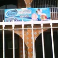 Centro de Desarrollo Infantil Guarderia Atlantis de Tampico