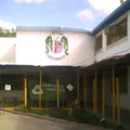 Colegio Griswold Florence Terry