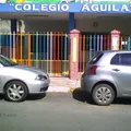 Colegio Bilingüe Aguila