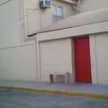 Campanita