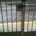 El Carrusel de Tampico