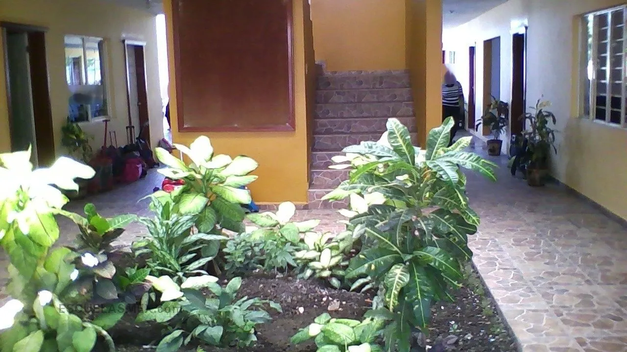 Colegio Insurgentes Entrada