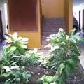 Colegio Insurgentes