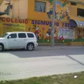 Colegio Sigmund Freud