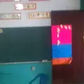 Estrellita