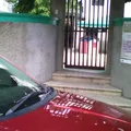 Instituto Freinet