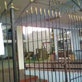 Colegio Dumont