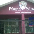 Instituto Ellen Key
