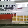 Prof. Alejandro Gallegos  Alvarez