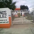 Amalia Gonzalez