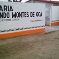 Fernando Montes de Oca