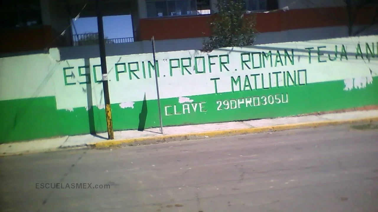 Prof. Roman Teja Andrade Entrada
