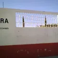 Maria Olvera