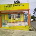 Gabino Barreda