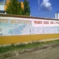 Instituto Vach