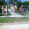 Jose Vasconcelos