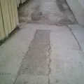 Plutarco Elias Calles