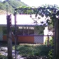 Adolfo Ruiz Cortines