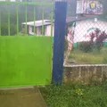 Aguila que Cae