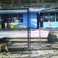 Jose Maria Morelos y Pavon