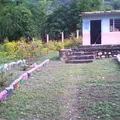 Akamapichtli