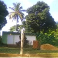 Cuitlahuac