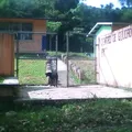 Cinteotl