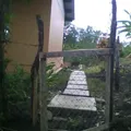 Niños Heroes