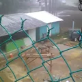 Niños Heroes