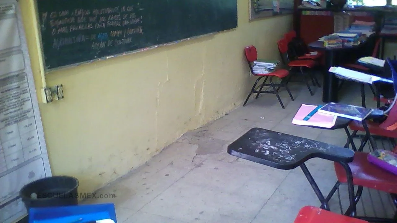 Francisco Diaz Covarrubias Entrada