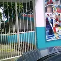Profr. Angel Salas