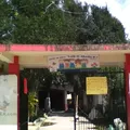Luis G. Murillo P.