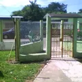 Rosas de la Infancia