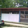 Maria Enriqueta Camarillo de Pereyra