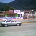 Rafael Alducin