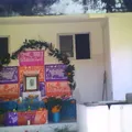 Profr. Dario Dozal Montero
