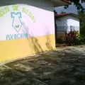 Axochio