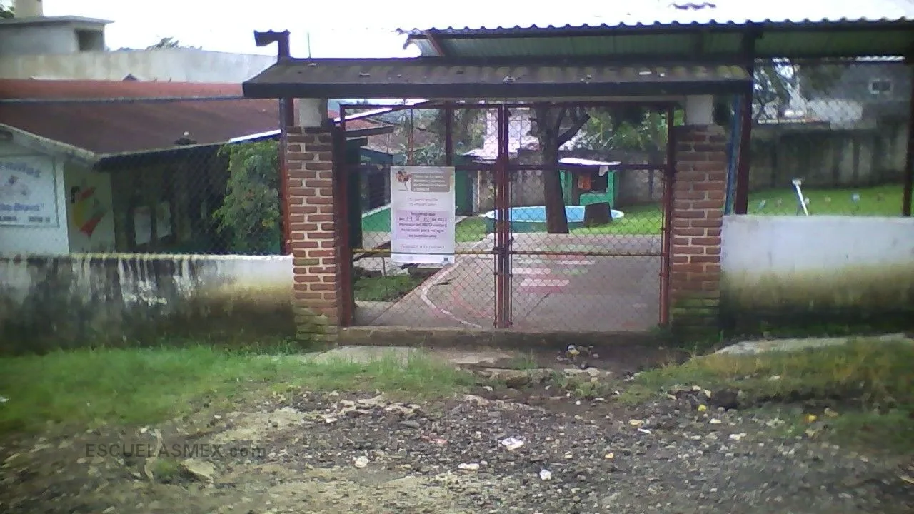 Carlos Bracho Bravo Entrada