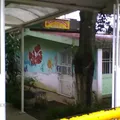 Socorro Legorreta Palacios