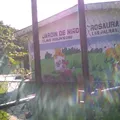 Rosaura Zapata