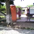 Carrusel