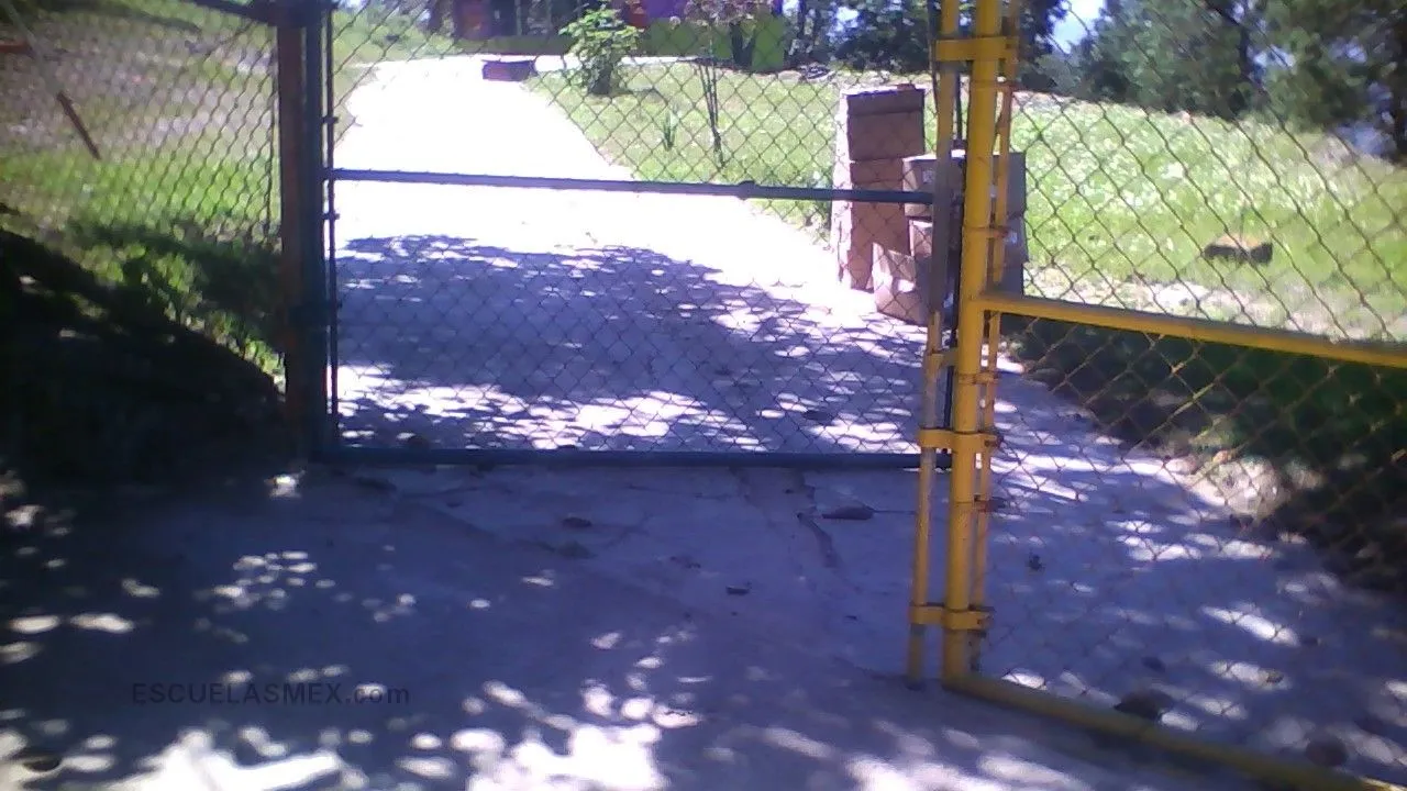 Estefania Castañeda Entrada