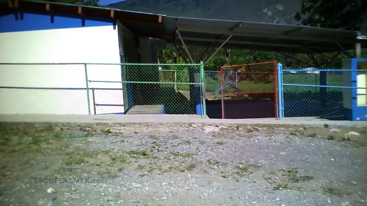 Genoveva Cortes Entrada