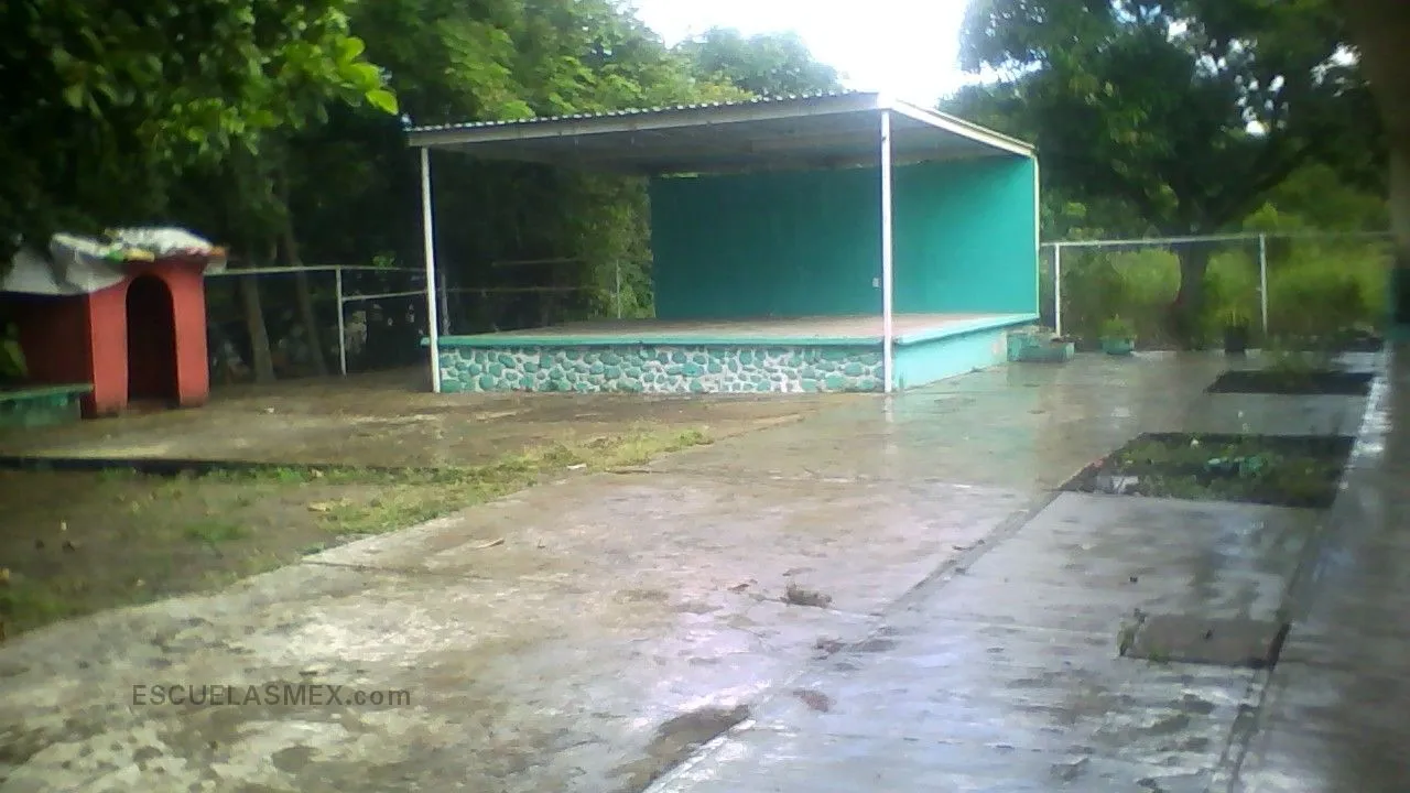 Rosaura Zapata Entrada