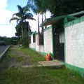 Fernando Montes de Oca