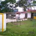 Juan Enrique Pestalozzi