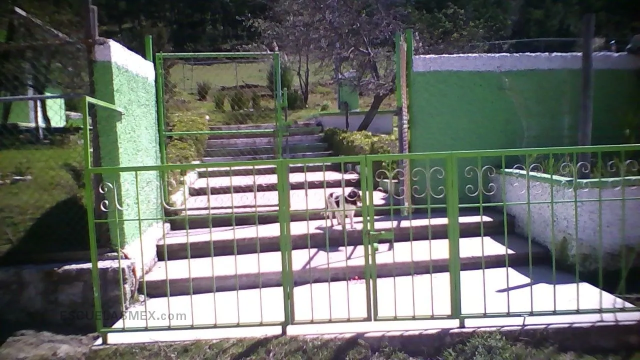Genaro Codina Entrada