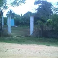 Adolfo Ruiz Cortines
