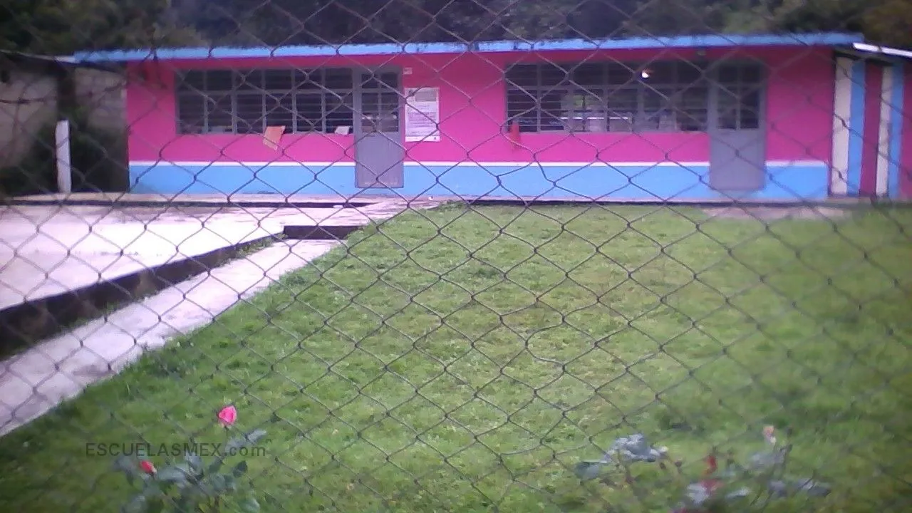 Quetzal Entrada