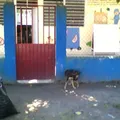 Carlos Pellicer